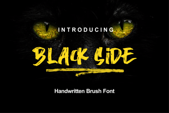Black Side: A Handwritten Brush Display Font for Modern Editorial Design